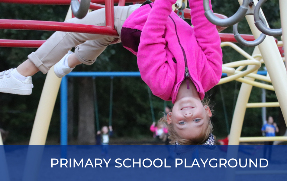 Primary School Playground